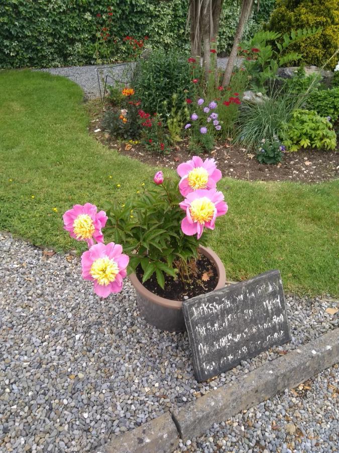 Twin Oaks Bed & Breakfast Kilkenny Esterno foto