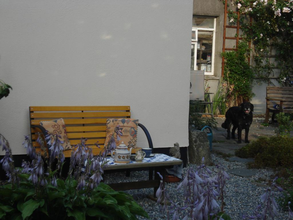 Twin Oaks Bed & Breakfast Kilkenny Esterno foto