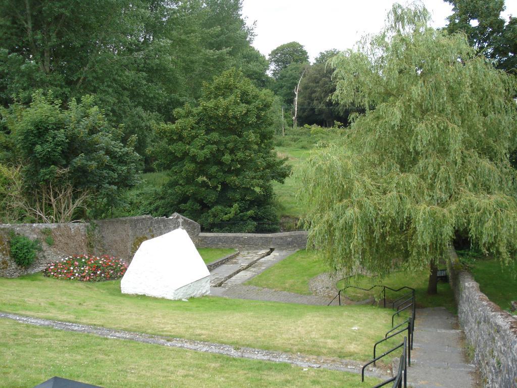 Twin Oaks Bed & Breakfast Kilkenny Esterno foto