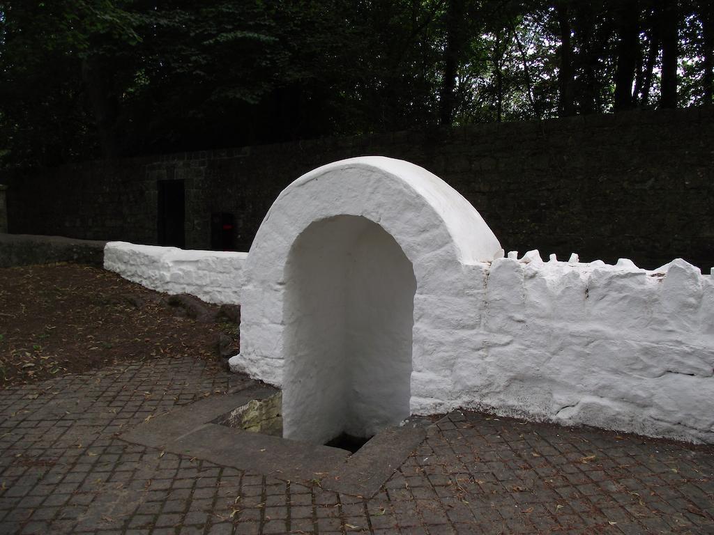 Twin Oaks Bed & Breakfast Kilkenny Esterno foto