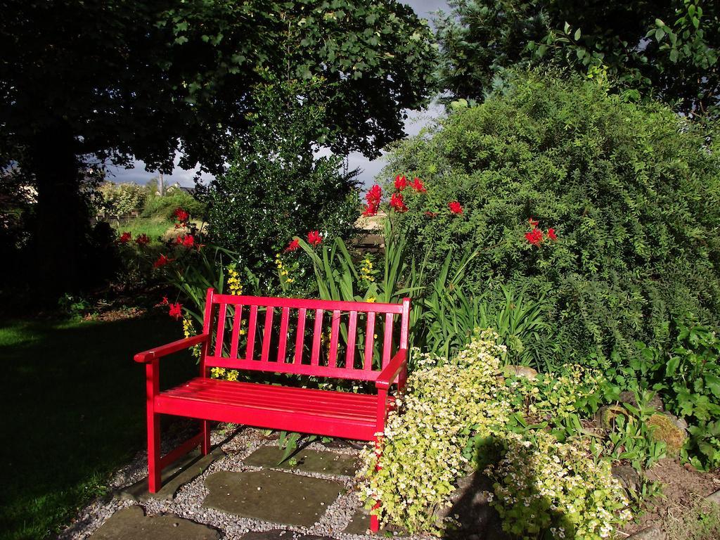 Twin Oaks Bed & Breakfast Kilkenny Esterno foto
