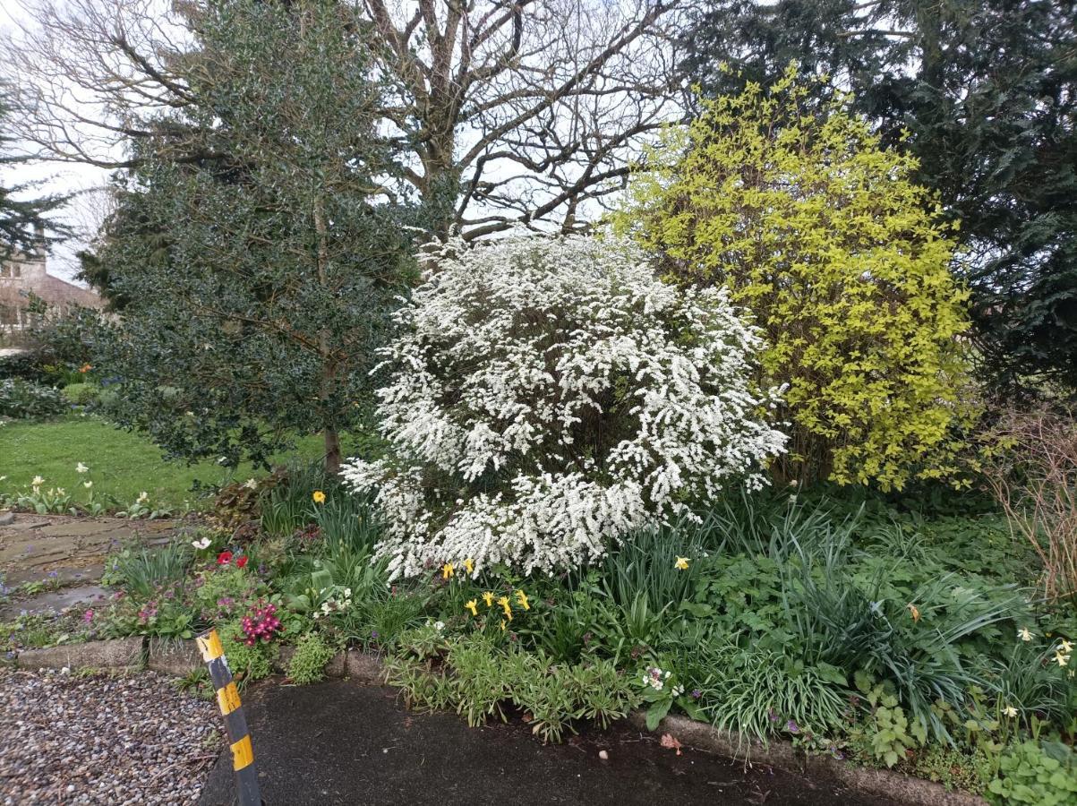 Twin Oaks Bed & Breakfast Kilkenny Esterno foto