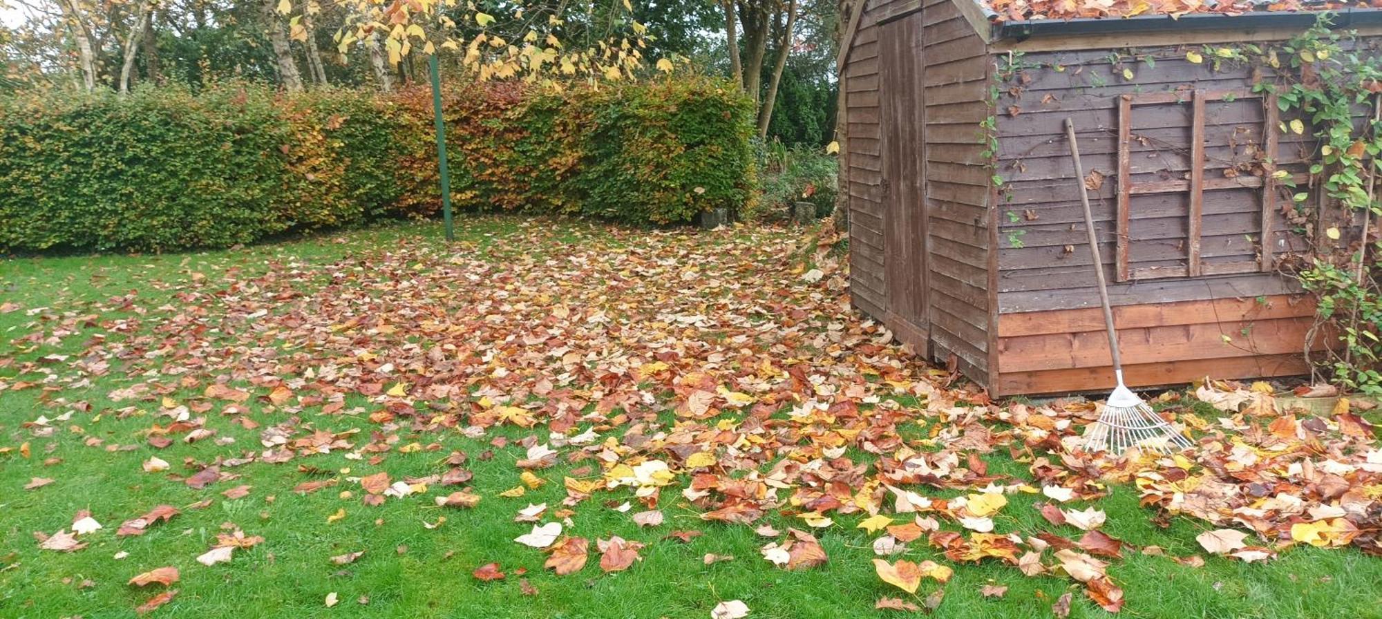 Twin Oaks Bed & Breakfast Kilkenny Esterno foto