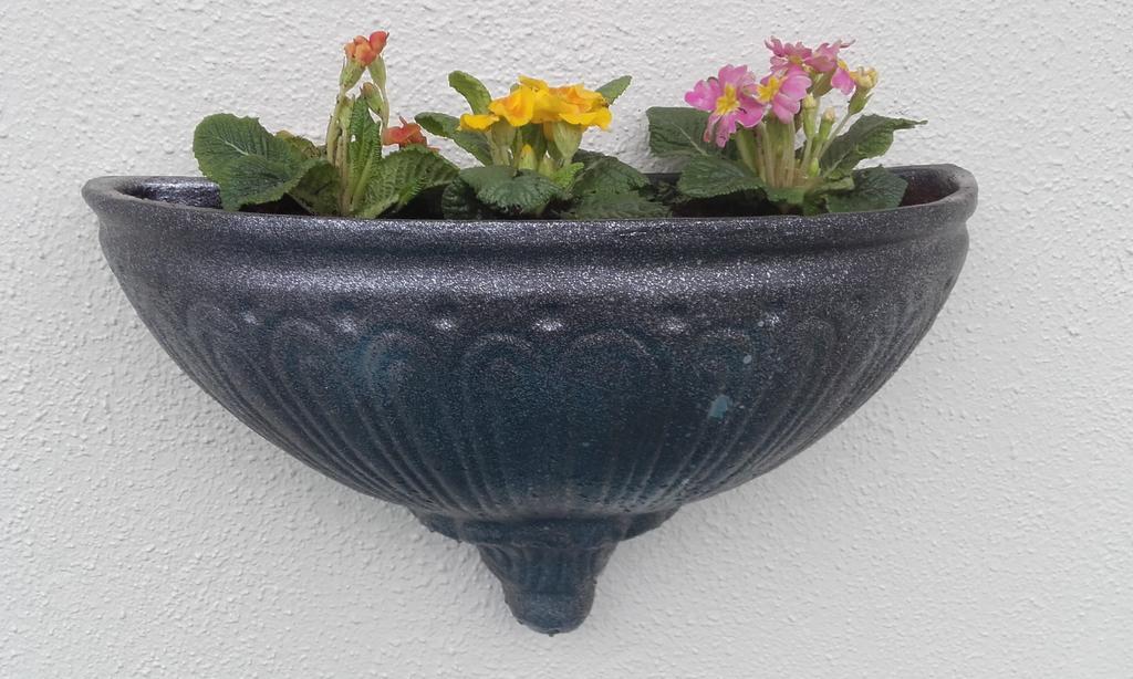 Twin Oaks Bed & Breakfast Kilkenny Esterno foto